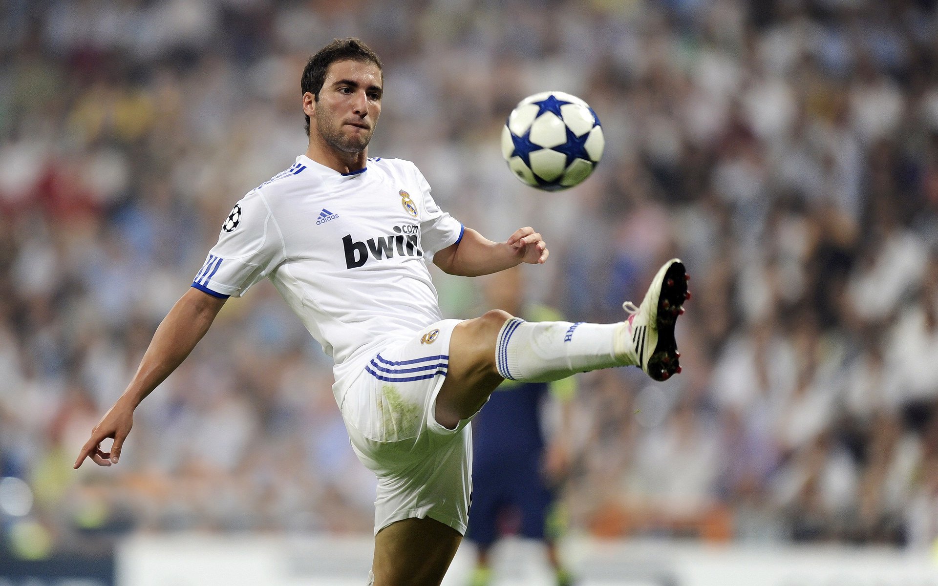 斯图加特与美因茨会师,保级之路一触即发,美因茨05青年队vs斯图加特青年队